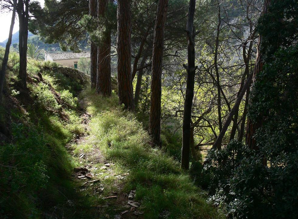 propiedad-romaica-3